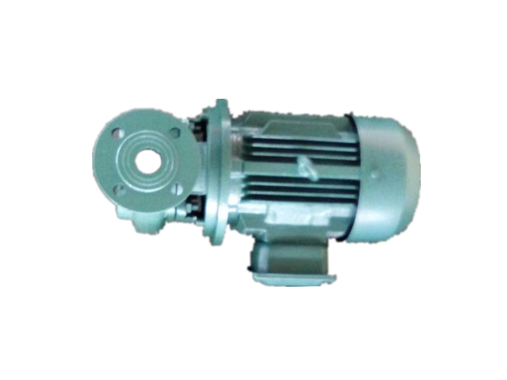 CGW Sewage pump