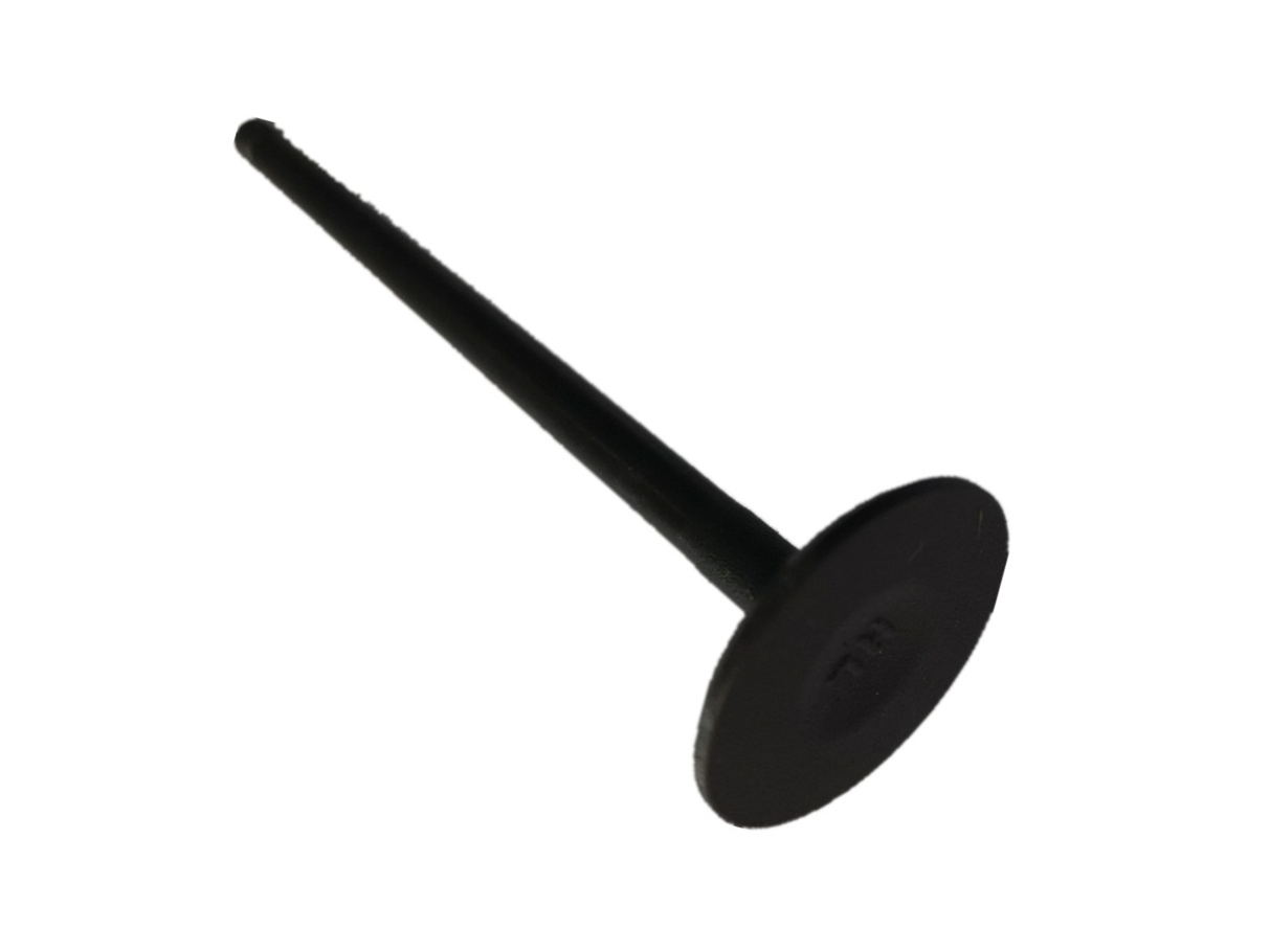 intake valve