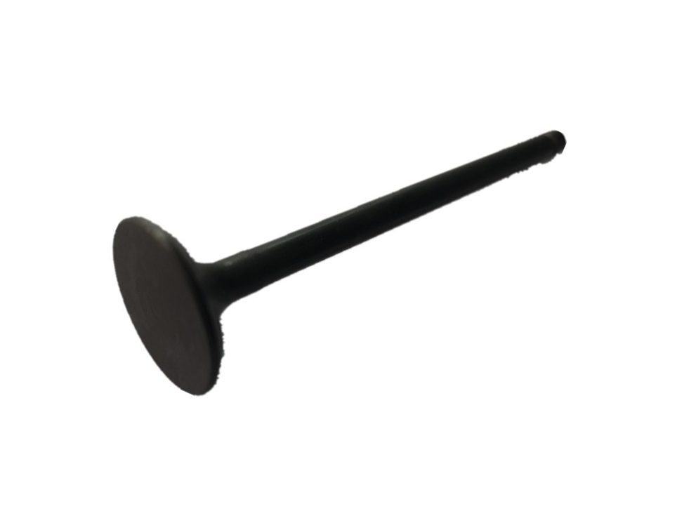 exhuast valve